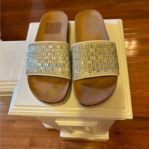 Elegant Silver Slide Sandals